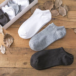 Low Cut Socks | Trend ITZ Korean Style Men’s Summer Casual Socks